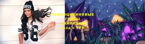 ГАЛЛЮЦИНОГЕННЫЕ ГРИБЫ Алексин