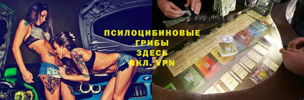 ГАЛЛЮЦИНОГЕННЫЕ ГРИБЫ Алексин